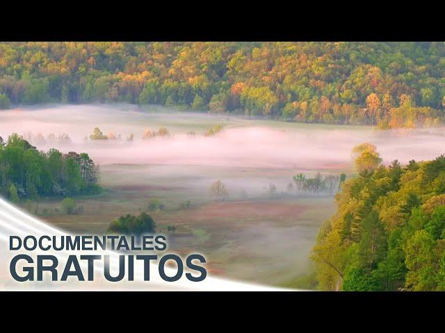 Parques Nacionales Estadounidenses - Montañas Humeantes