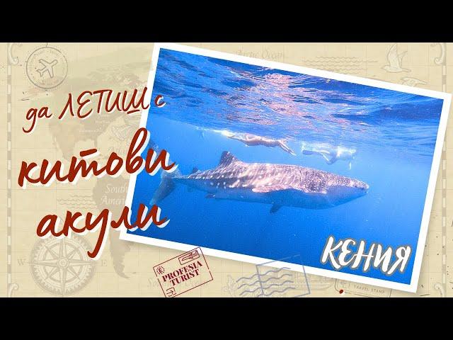 Да летиш с китови акули - Кения - Професия турист (Kenya, ProfesiaTurist)