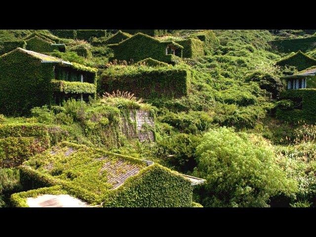 The Abandoned Chinese Village that Nature Reclaimed