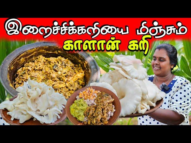 காளான் கறிக்கு நான் அடிமை | Village Cooking | vanni vlog