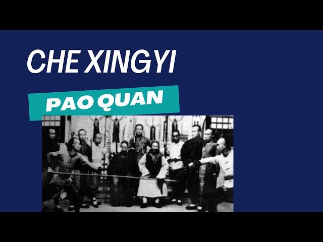 che style xingyi pao quan.wmv