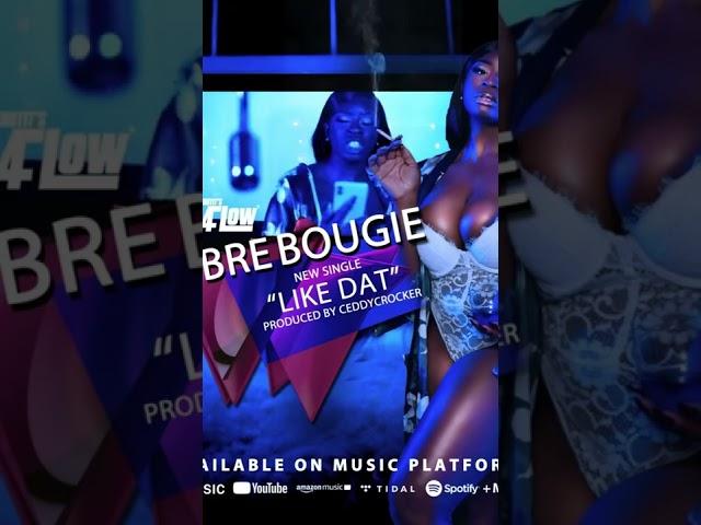 Bre Bougie- LIKE DAT OUT NOW ‼️ #fyp #femalerapper #femaleartist #reels #shorts #play #gostream