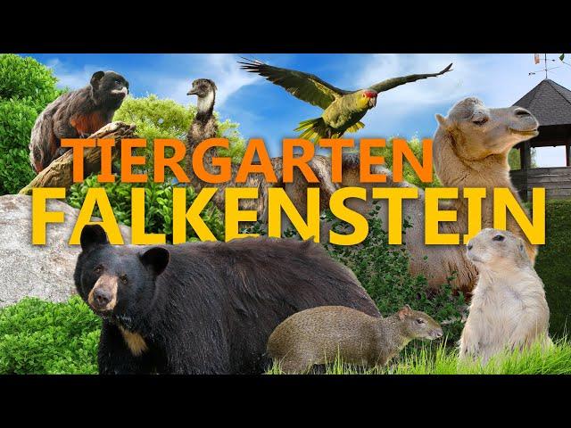 Tiergarten Falkenstein - Ein Geheimtipp im Vogtland?