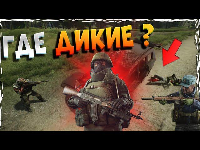 Как Найти Диких В ЛЕСУ ? | ПИКНИК СО СТРЕЛЬБОЙ И ПУТЬ ВЫЖИВАЛЬЩИКА [Escape from Tarkov]