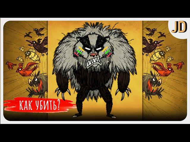 Don't Starve, Together, Как Убить Медведя Барсука, Все о Боссе