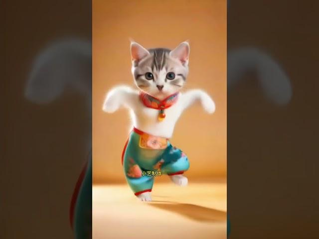 EP1Cute kitten #cat #lovecats #cats #catvideos #kittens #catlover #princesscat #kitten