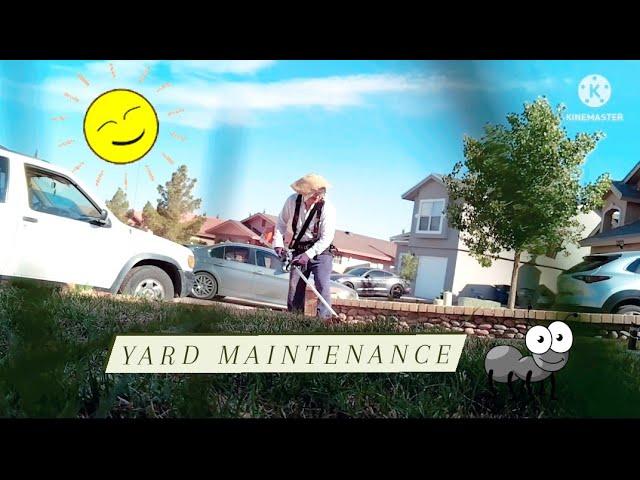 Full Yard Service/ Maintenance. Weeds, Trim Grass, Trash. Front, back, sides. 6/10/22 