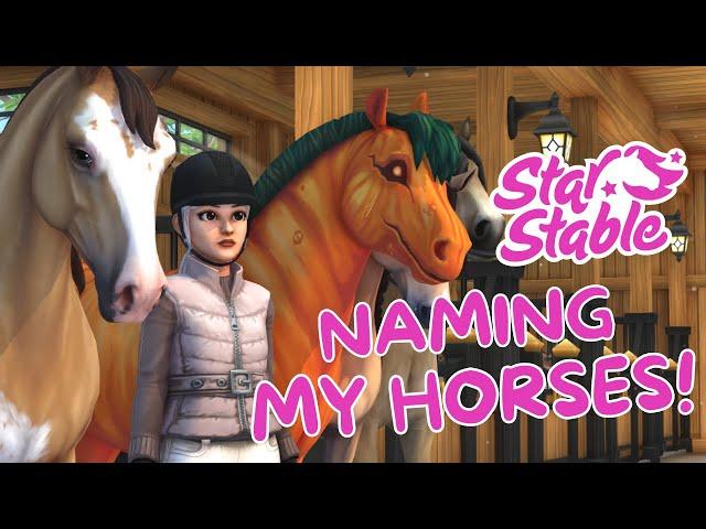 Rapidly Naming My Forgotten Horses