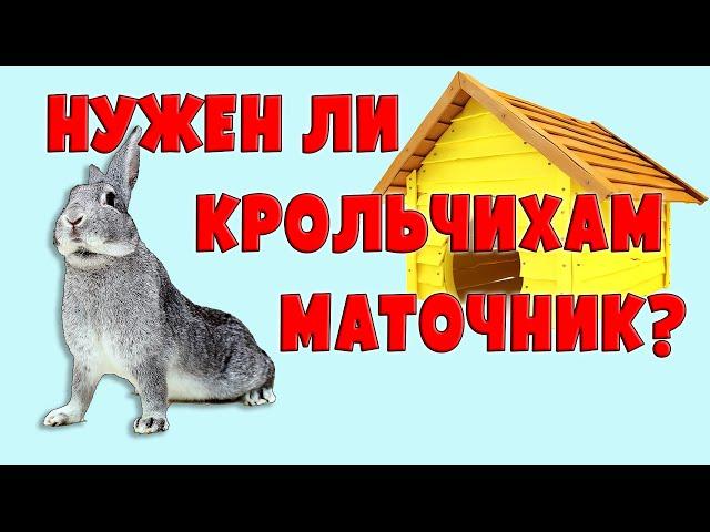 Нужен ли крольчихам маточник?