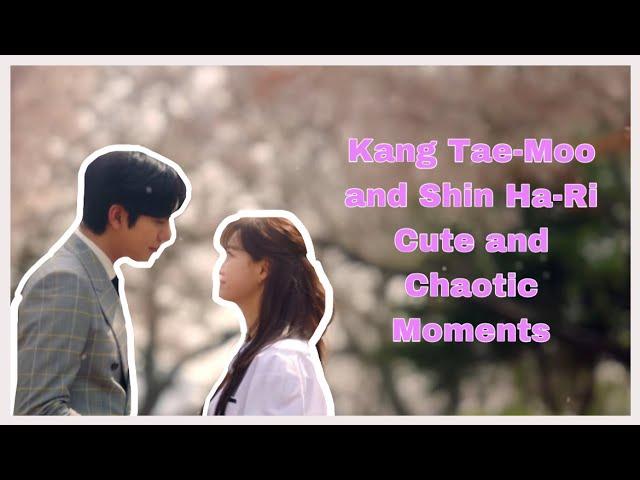 Kang Tae Moo and Shin Ha Ri cute and Chaotic Moments | Business Proposal