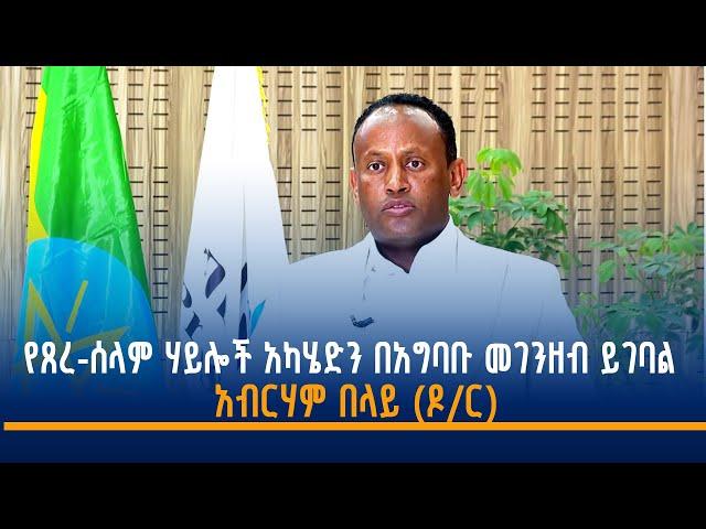 የጸረ-ሰላም ሃይሎች አካሄድን በአግባቡ መገንዘብ ይገባል -አብርሃም በላይ (ዶ/ር)