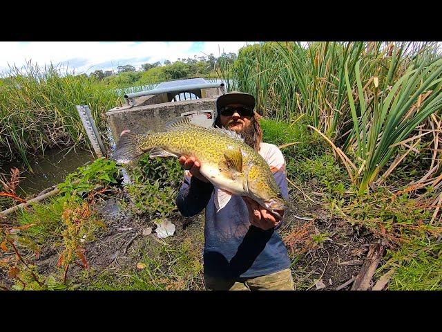 Fishing Melbourne's SECRET URBAN DRAINAGE SYSTEMS For GIANT Fish!