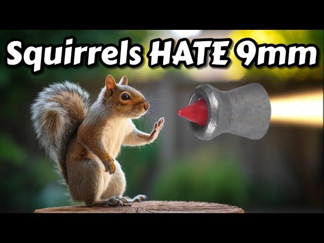 9mm Leshiy 2 vs. Squirrels: Who Wins?