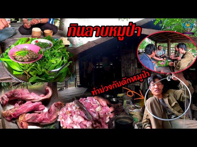 ทำสายกับดักกินลาบหมูป่าวัตถุดิบอาหารปลา