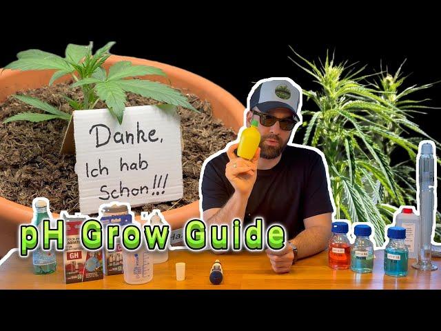  pH Wert richtig messen & optimieren für gesunde Cannabis Pflanzen! 3. Woche Royal Haze Automatic