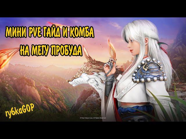 Black desert : МЭГУ МИНИ ГАЙД ПРОБУДА / КОМБА + МОРФЫ