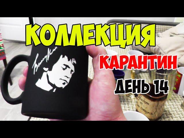 ВЛОГ МОЯ КОЛЛЕКЦИЯ / ВНИМАНИЕ НУЖЕН ВАШ КОММЕНТАРИЙ / КАРАНТИН ДЕНЬ 14