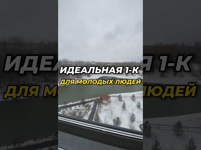  Обзор идеальный 1-к квартиры для молодых людей #новосибирск #новостройкиновосибирск