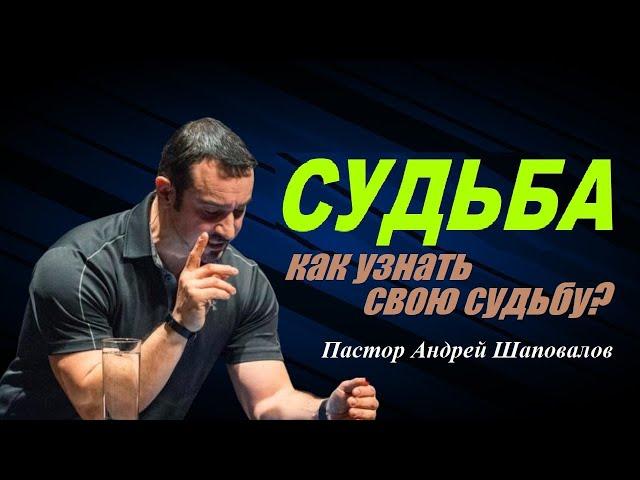 СУДЬБА. Как узнать свою судьбу? Пастор Андрей Шаповалов.