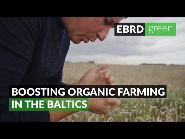 Boosting organic agriculture in the Baltics