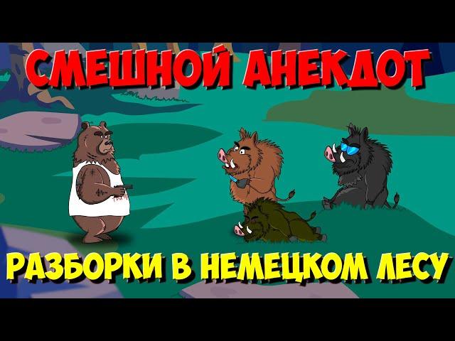 Humor. How the Bear ran into Kabanov. Jokes