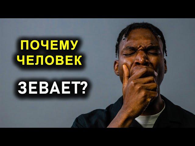 ПОЧЕМУ ЧЕЛОВЕК ЗЕВАЕТ