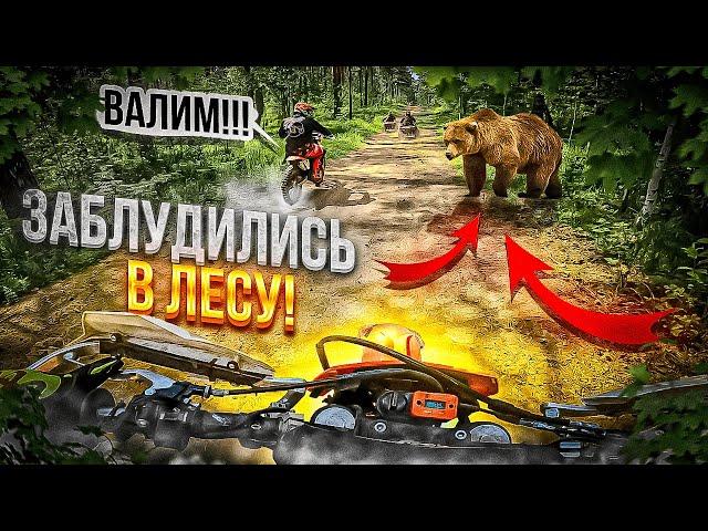 ЗАБЛУДИЛИСЬ В ЛЕСУ! РАЗНОСИМ ЛЕСА НА ЭНДУРИКАХ! ИЩЕМ НА ЖОПУ ПРИКЛЮЧЕНИЯ!