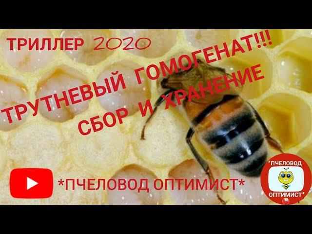 ТРУТНЕВЫЙ ГОМОГЕНАТ (сбор и хранение): триллер 2020...