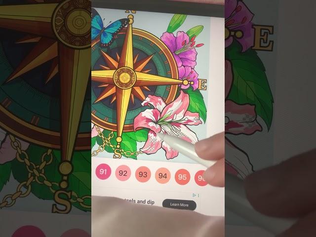 Pretty compass