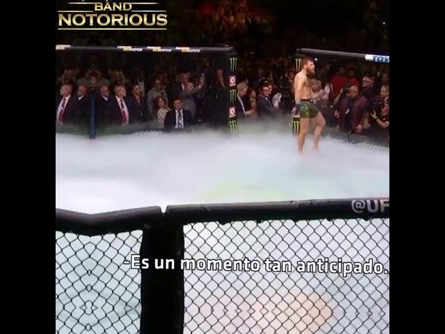 conor McGregor haliham UFC qirol