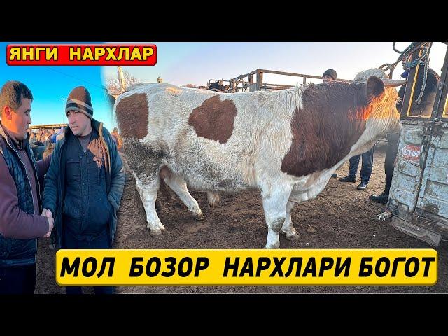 МОЛ  БОЗОР  НАРХЛАРИ  БОГОТ  12-МАРТ XORAZM  NARX  NAVO