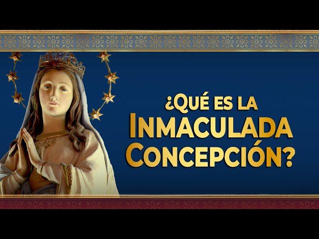 ¿Qué es la INMACULADA Concepción de la Virgen? - Dogma mariano #inmaculadaconcepción