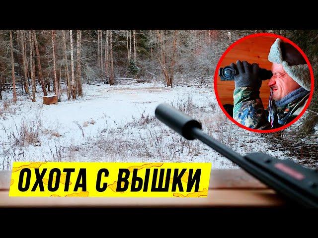 Охота с вышки зимой | 5 часов на охотничьей вышке: выводы