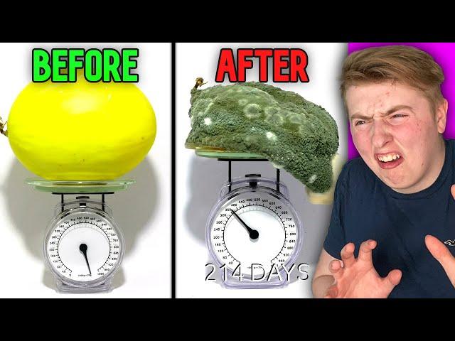 This Food Time Lapse Will Shock You!