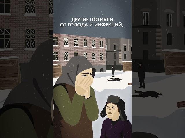 71 миллион человек погибли во время Второй Мировой войны #shorts #ww2