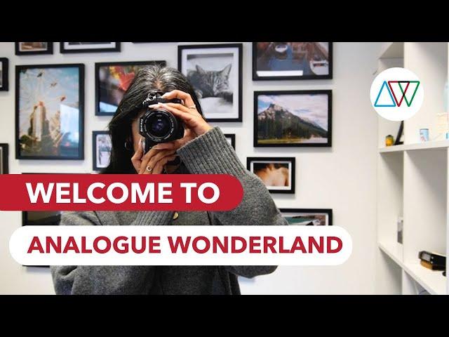 Welcome to Analogue Wonderland! 