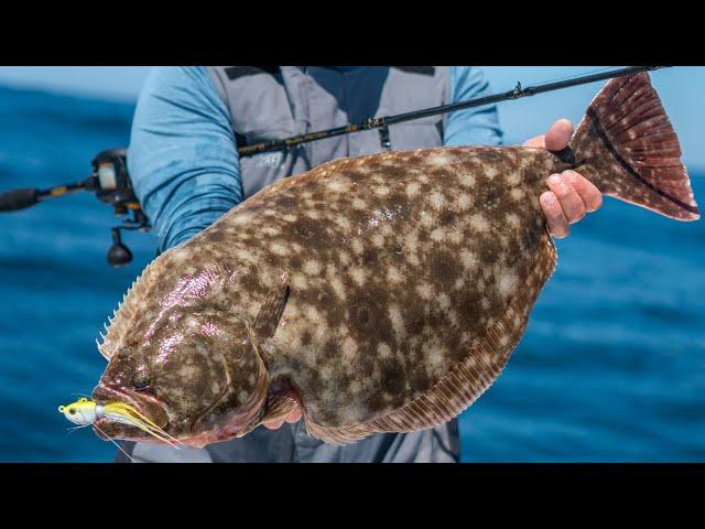 Doormat Fluke on Nantucket Shoals | Jigging for Summer Flounder | S19 E05