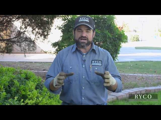 Sewer Line Inspection - How The Pros Do It