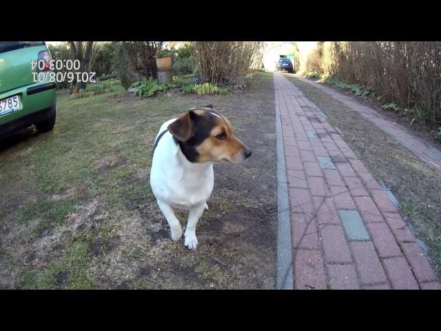 SJCAM SJ7 Star firmware v1.09 EIS test 1080p@60fps
