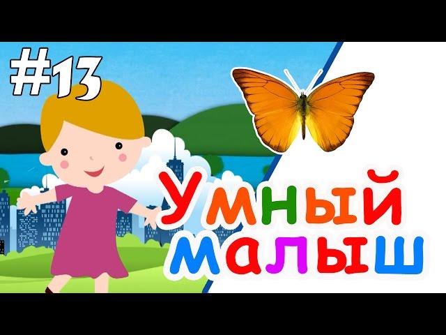 Умный малыш #13. Развивающий мультфильм для малышей / Smart baby #13. Наше_всё!