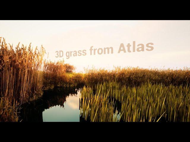 Creating Grass from an Atlas (UE5, Houdini, Quixel)