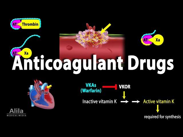 Pharmacology: Anticoagulants, Animation