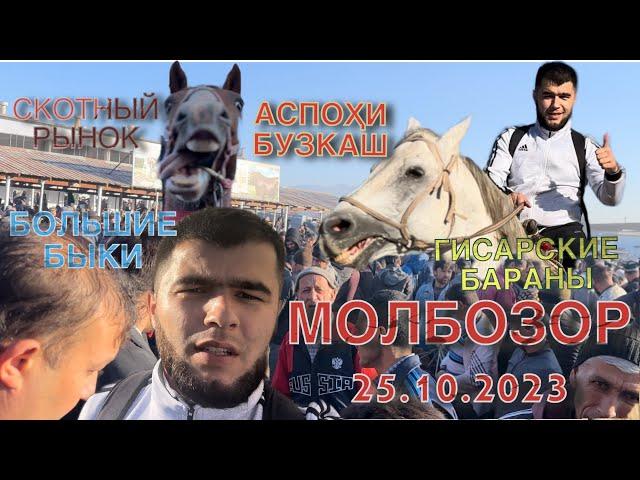 ГИСАРСКИЕ ҚУШҚАРЫБЫКИЛОШАДИ 25.10.2023МОЛБОЗОРСКОТНЫЙ РЫНОК#cow #быки #horse #кфх#герефорд