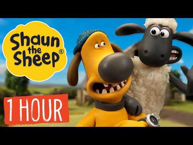 1 HOUR Compilation | Episodes 31-40 | Shaun the Sheep S1