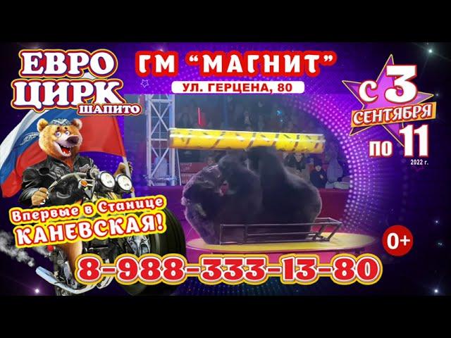 ЕВРО ЦИРК в Каневской