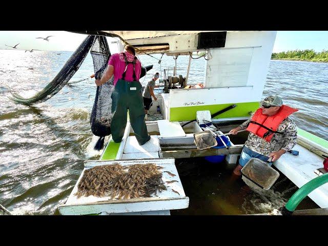 20,000 Shrimp and a BOAT Full of WATER in less then 4 HOURS! (Catch & Cook Cajun Style)