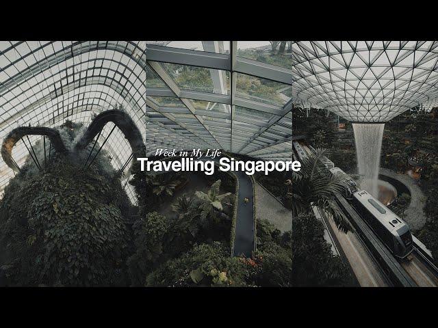 Week in My Life as a Content Creator in Singapore