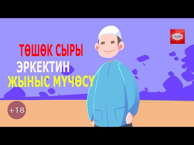 ТӨШӨК СЫРЛАРЫ ЭРКЕКТИН ЖЫНЫСТЫК МҮЧӨСҮ