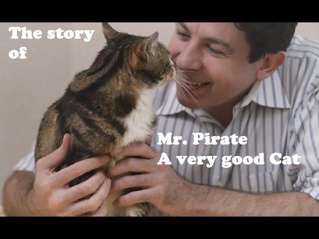 The story of Mr. Pirate, possibly the best cat EVAR