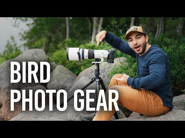 Essential Bird Photography Gear Guide